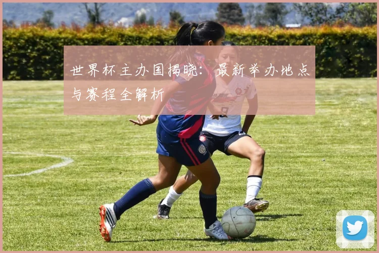 世界杯主办国揭晓:最新举办地点与赛程全解析